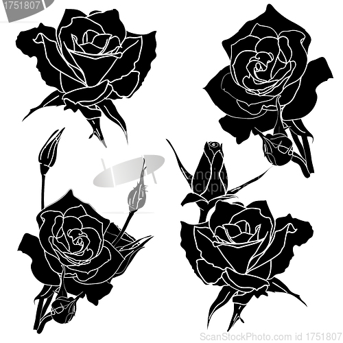 Image of tattoo rose flower