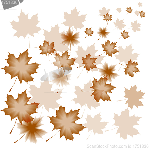 Image of abstract flora background