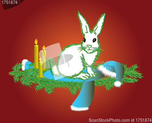 Image of The white hare