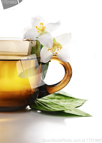 Image of Jasmine Tea