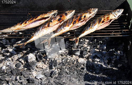 Image of Grilled fish on barbecue