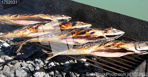 Image of Grilled fish on barbecue