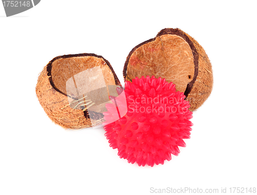 Image of  Coconut shells with red ball isolatet on a white backround