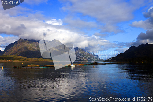 Image of Coastal Scenery