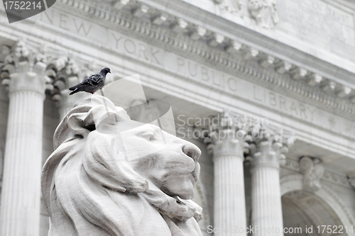 Image of New York Public Library