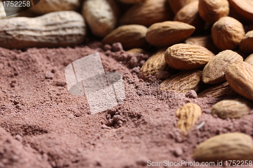 Image of cacao and nuts