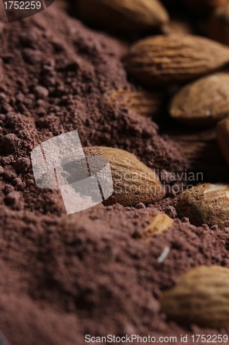 Image of almonds in cacao