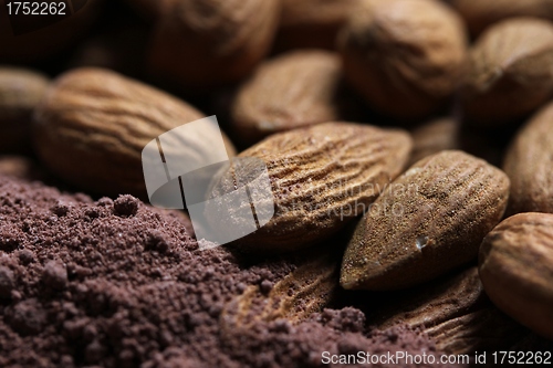 Image of almonds in cacao