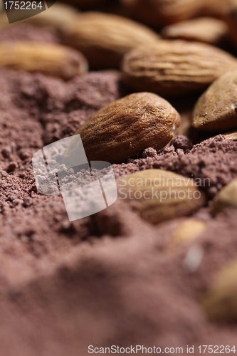 Image of almonds in cacao