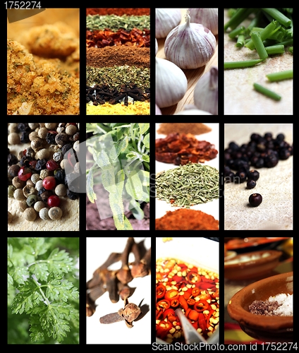 Image of big spices picture mix 