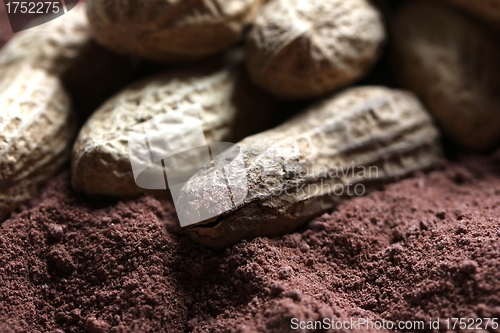 Image of peanuts in cacao