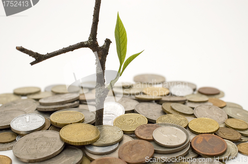 Image of Financial growth.Conceptual image.