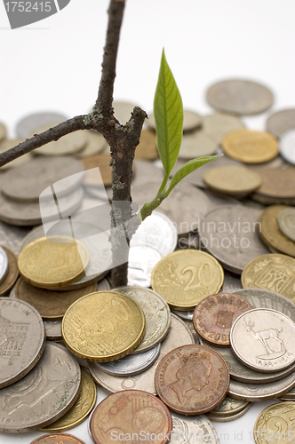 Image of Financial growth.Conceptual image.