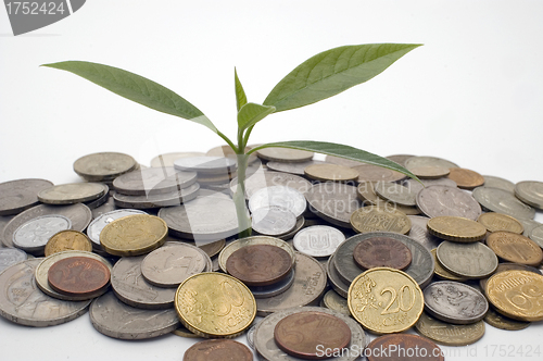 Image of Financial growth.Conceptual image.