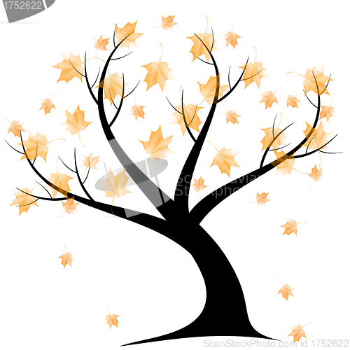 Image of Autumn Tree
