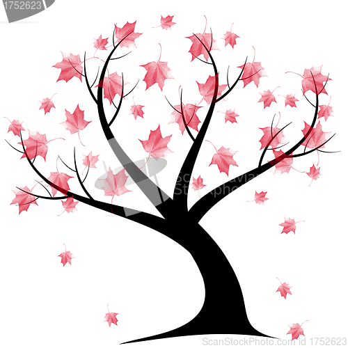 Image of Autumn Tree
