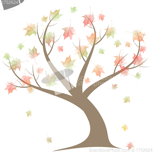 Image of Autumn Tree