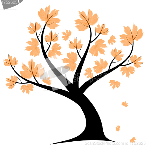 Image of Autumn Tree