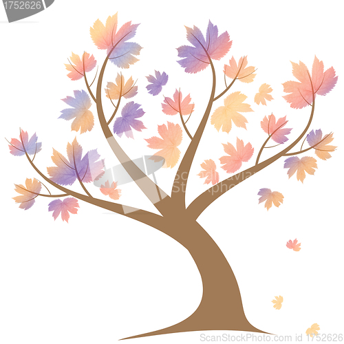 Image of Autumn Tree