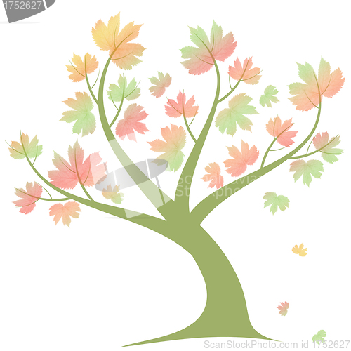 Image of Autumn Tree