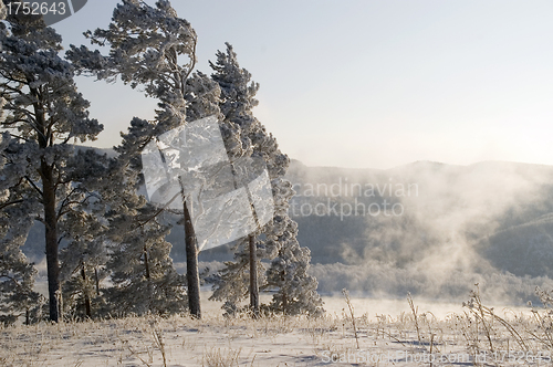 Image of Winter scene