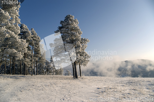 Image of Winter scene