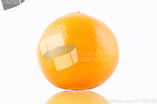 Image of Orange isolated