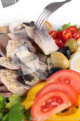 Image of tasting fresh herring