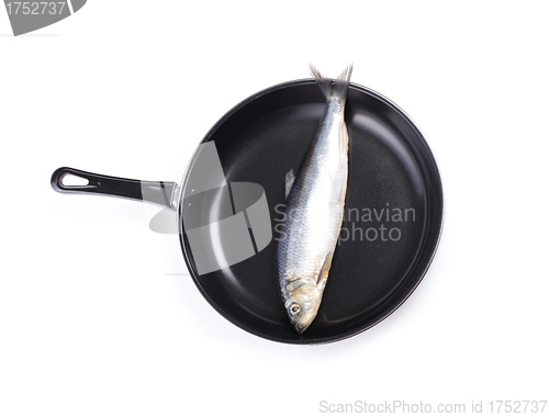Image of fish on pan