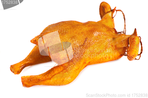 Image of a chicken