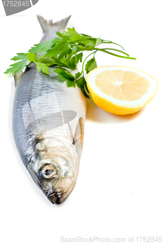 Image of fish with lemon