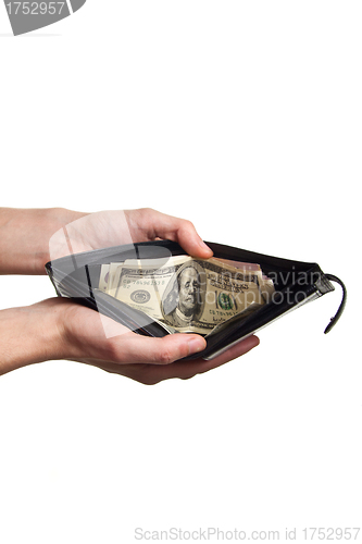 Image of dollard in purse