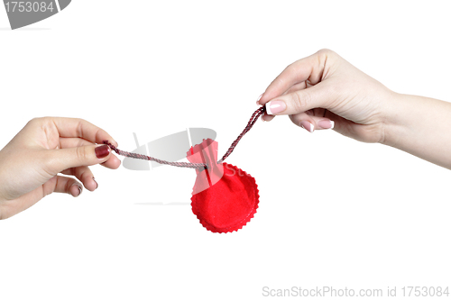 Image of two woman hands hold Christmas gift bag isolated