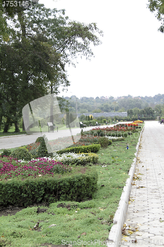 Image of park with alley flowers