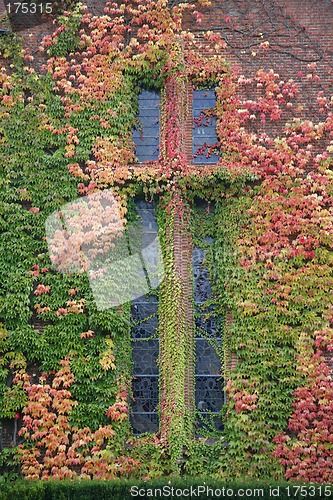 Image of Autumn cross