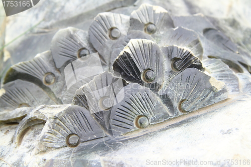 Image of Abstract stone flower