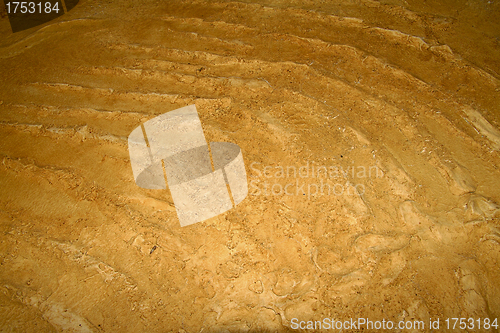 Image of wall with  fossils
