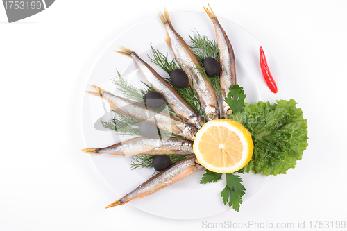 Image of anchovies on white background