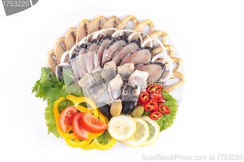 Image of various herring