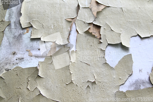 Image of Old paint peeling from wall background