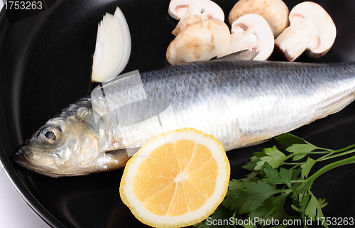 Image of fish in pan close up