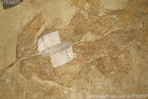 Image of Cliff leaf sediment close-up