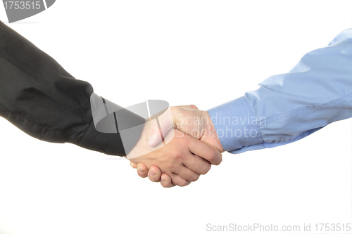 Image of Businessmen shaking hands