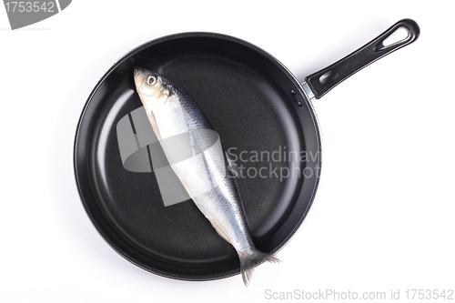 Image of fresh fish in pan