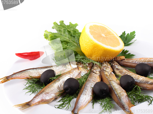 Image of anchovies on white background