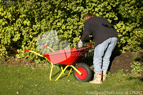 Image of Autumn gardening