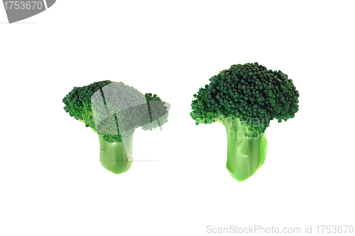 Image of broccoli isolated on white