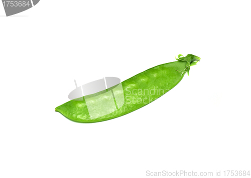 Image of fresh green peas isolated on a white background. Studio photo