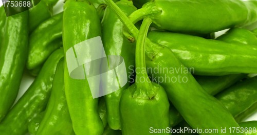 Image of Lots of fresh green peppers
