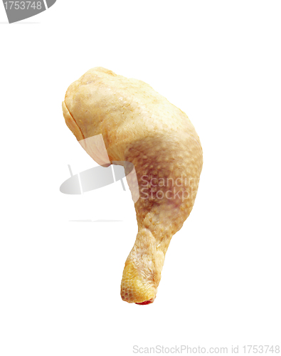 Image of chiken leg isolated